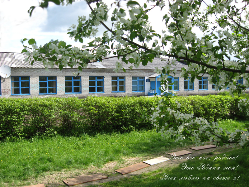 Фотография школы.