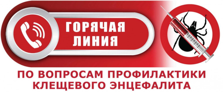 Горячая линия.